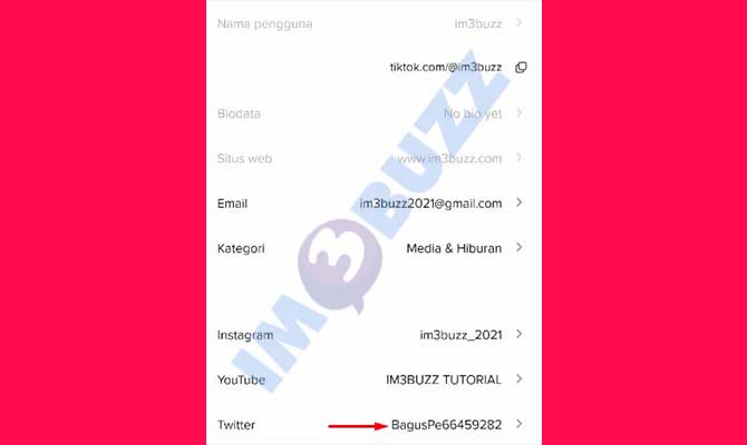 5. Selesai Menambahkan Link Twitter di Bio