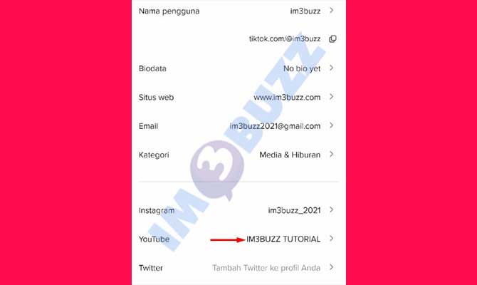 5. Selesai Menambahkan Link Youtube di Bio