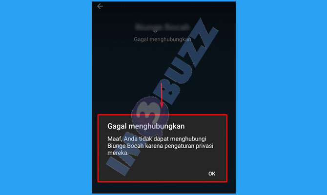 6. Tidak Bisa Melakukan Panggilan Suara Ketika Telegram di Blok