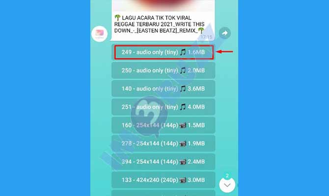 9. Pilih Format Download Lagu Youtube