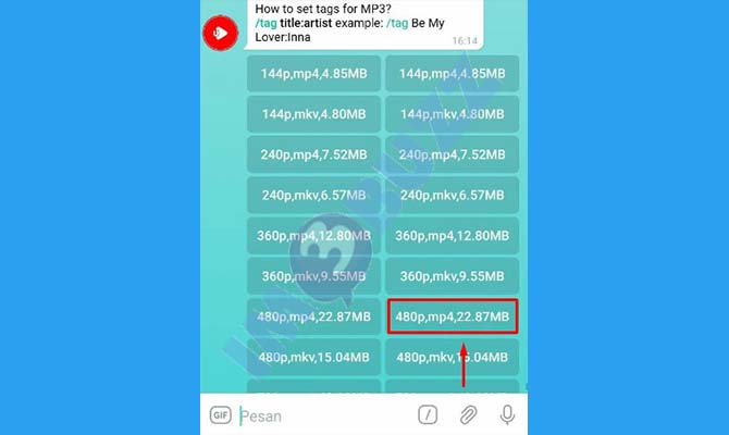 9. Pilih Format download Video Youtube