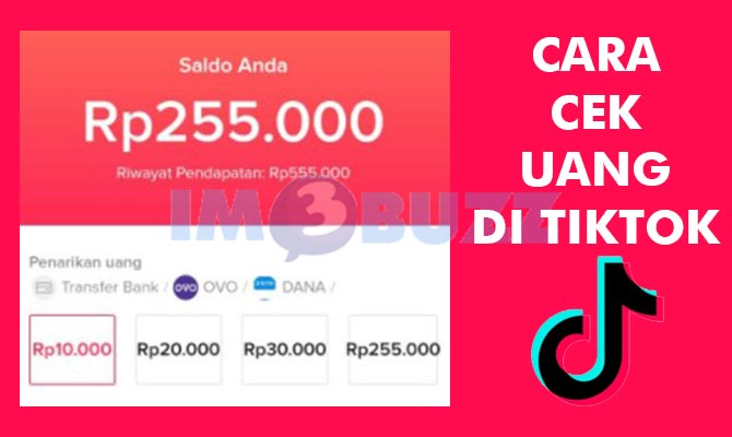 Cara Cek Uang Di TikTok