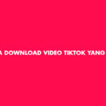 Cara Download Video TikTok Yang Di Privasi