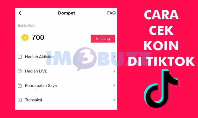 Cara Mengecek Saldo Koin TikTok