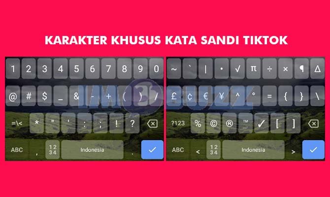 Contoh Kata Sandi Karakter Khusus TikTok