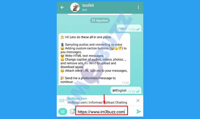 Masukkan Tulisan di Obrolan Dengan Bot
