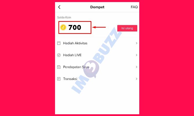 Selesai Cek Saldo Koin TikTok
