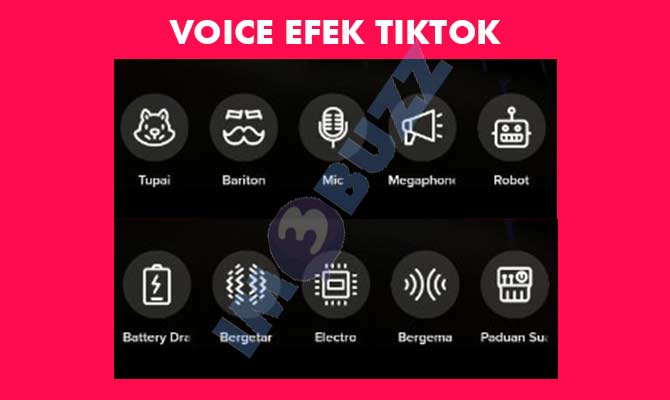 Voice Efek TikTok