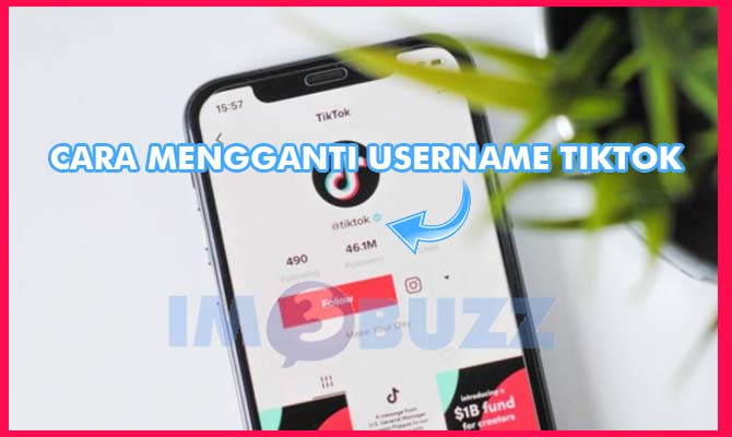 Cara-Mengganti-Username-TikTok di HP