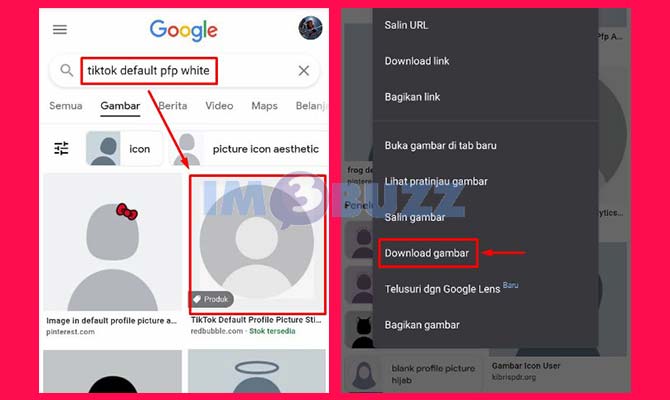 Download Foto Profil Default TikTok