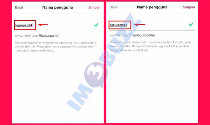 Lakukan Mengganti Username TikTok Tanpa Angka