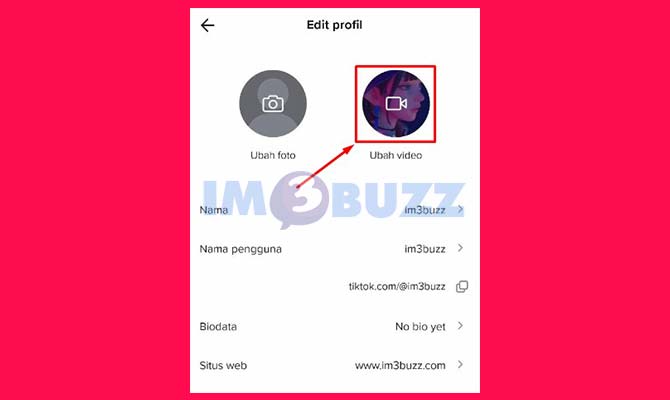 Tap Video Profil TikTok