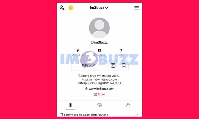Buka Profil TikTok Untuk Mengetahui Penonton Video kita