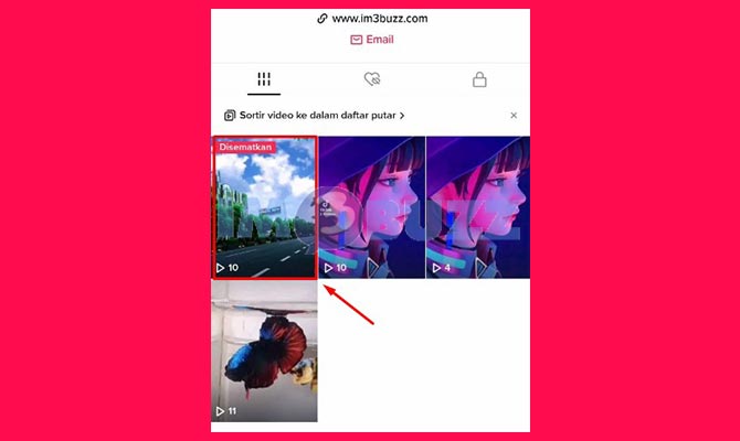 Cari dan Putar Video Disematkan