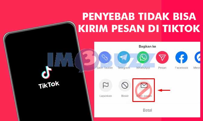 Penyebab Tidak Bisa Kirim Pesan di TikTok