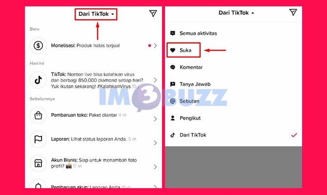 Pilih Opsi Aktivitas di TikTok