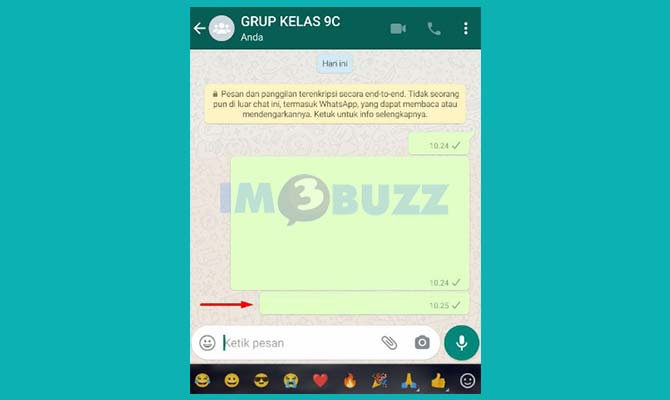 Selesai Membuat Pesan Kosong di WA Menggunakan Aplikasi