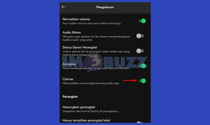 Selesai Mengaktifkan Canvas Spotify