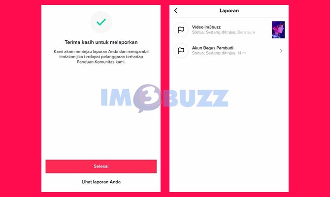 Selesai Report Video TikTok