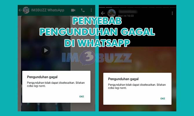 Kenapa Tidak Bisa Mengunduh di Whatsapp