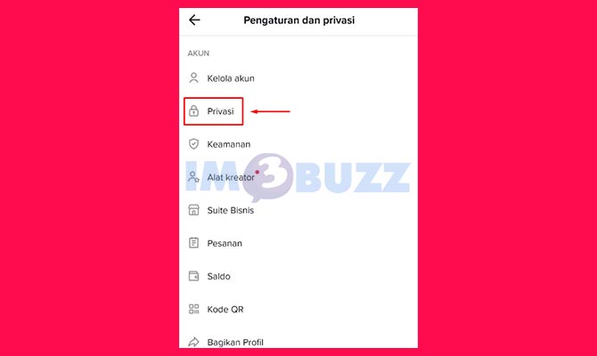 Pilih Privasi TikTok