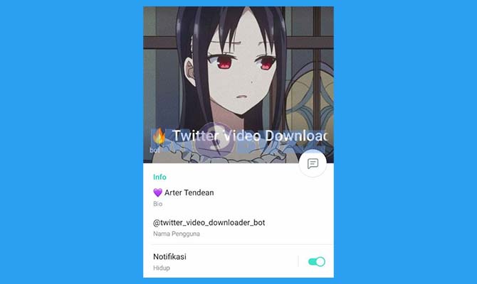 Twitter Video Downloader