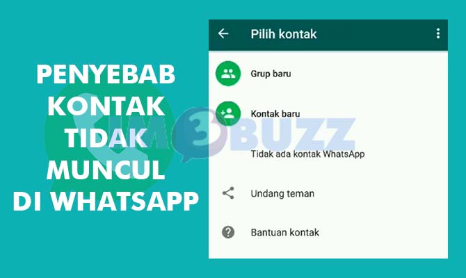 Penyebab Nomor Kontak Tidak Muncul di WA