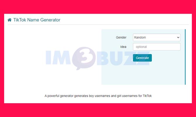 TikTok Name Generator