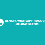 Kenapa Whatsapp Tidak Bisa Melihat Status