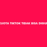 Kuota TikTok Tidak Bisa Digunakan