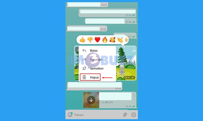 Pilih Hapus Video di Telegram