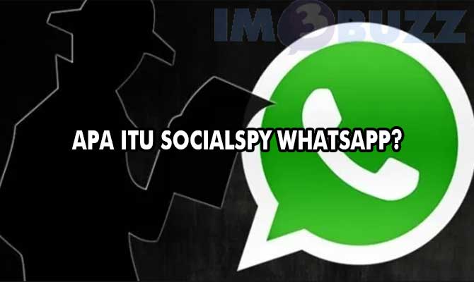 Apa Itu SocialSpy Whatsapp?