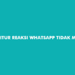 Fitur Reaksi Whatsapp Tidak Muncul