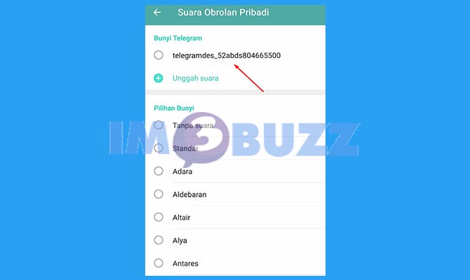 Selesai Menambah Suara Notifikasi lewat Pengaturan Telegram