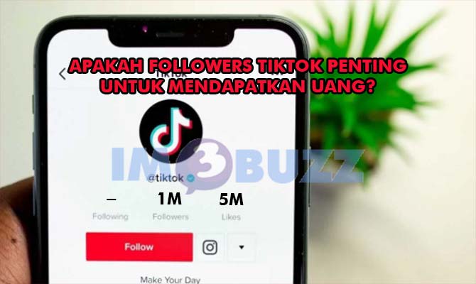 Apakah Followers Penting Untuk Dapat Uang di TikTok