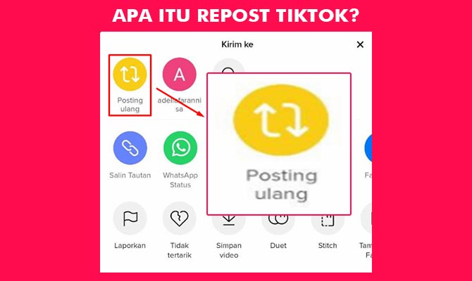 Apa Itu Repost TikTok