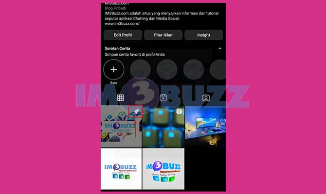 Selesai PIN Postingan Instagram