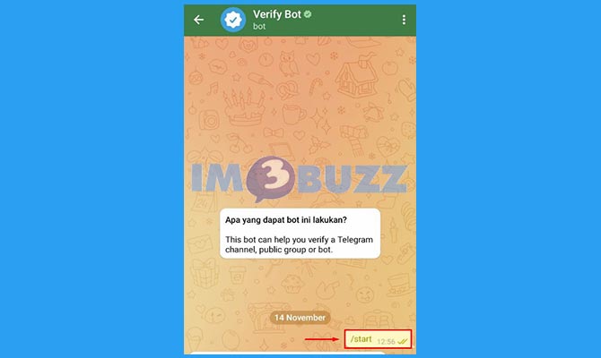 Mulai Obrolan dengan Bot Verify