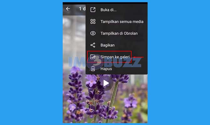 Simpan Video Pinterest ke Galeri