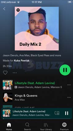 Spotify Playlist Downloader iOS